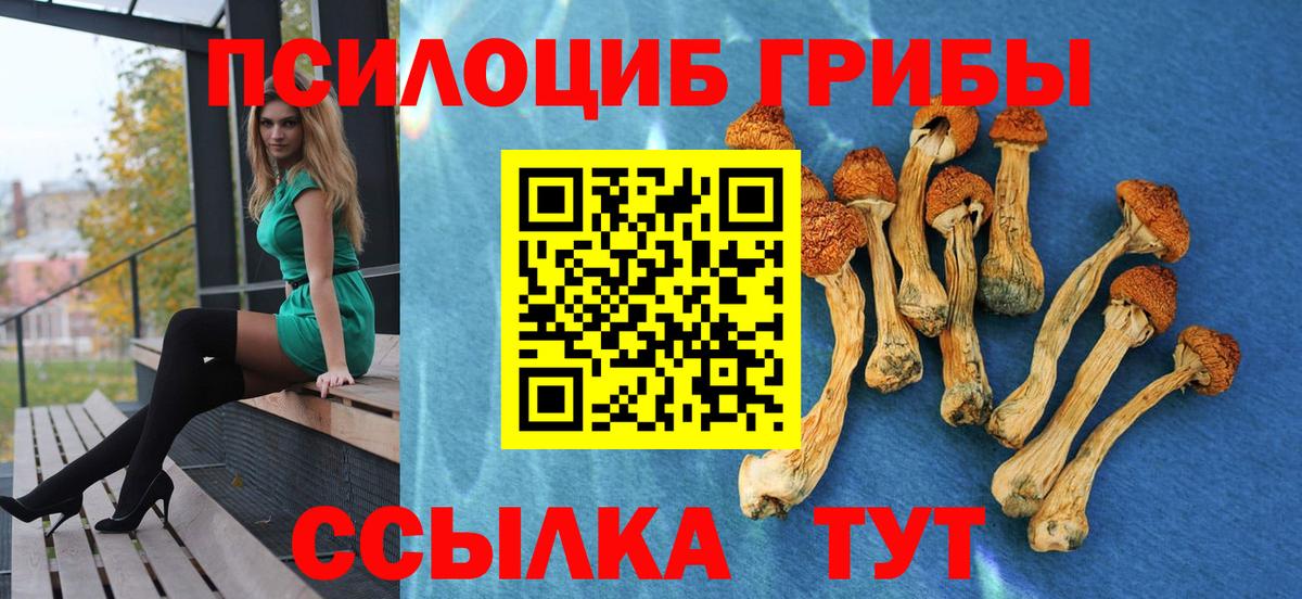 Галлюциногенные грибы GOLDEN TEACHER Комсомольск-на-Амуре