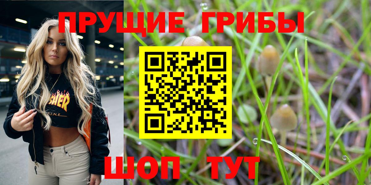 Галлюциногенные грибы прущие грибы  Вход с VPN  Комсомольск-на-Амуре  Псилоцибиновые грибы мухоморы 